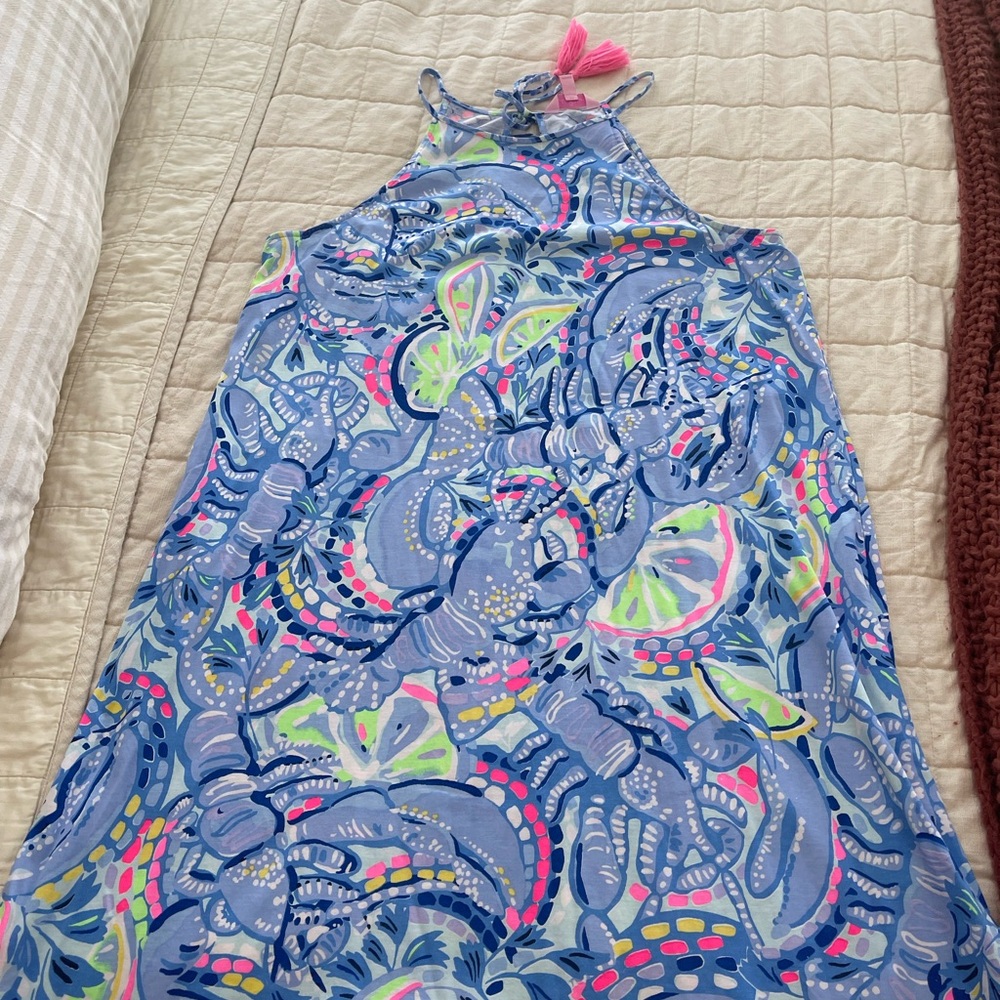 Lilly Pulitzer Blue and Pink Patterned Margot Dress size large
